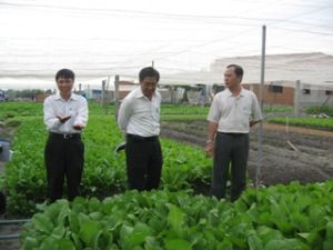 农业合作社困难还很多。