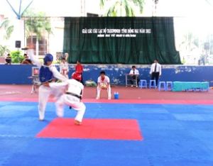 ２０１１年ドンナイ省テコンドー大会：ビエンホア市選手団は賞1位を獲得