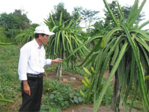 某富翁的致富之路。