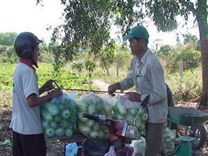 成功于蔬菜种植、豪猪养殖的模型。