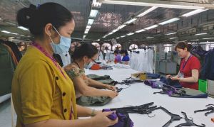 22대 FDI기업은 농업, 가공에 투자한다