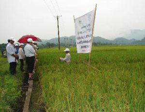 统一县举办种植和养殖技术培训班
