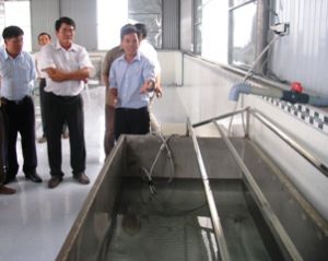 长安蔬菜合作社：迈向认证VietGap标准。