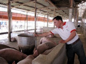 因为投入价格增加农民们面临着困难！