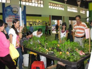 仁泽县展览会的感受