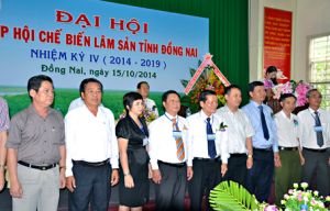 木材専攻工業地帯へ投資