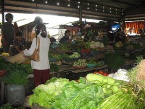 春后市场仍然砍价