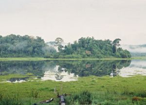 水电厂项目威胁吉仙世界生物圈储备区