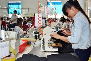 2015年の輸出受注についての楽観