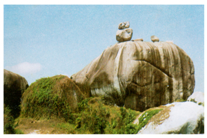 同奈旅游业迎接游客近150万人次