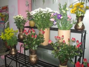 11月20日教师节礼品市场：礼盒礼物受欢迎