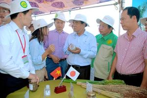 技術・科学更新の促進