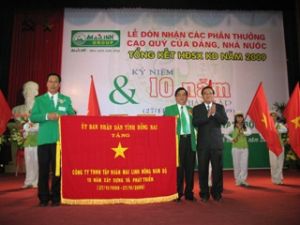 东南部梅岭集团 纪念成立十周年