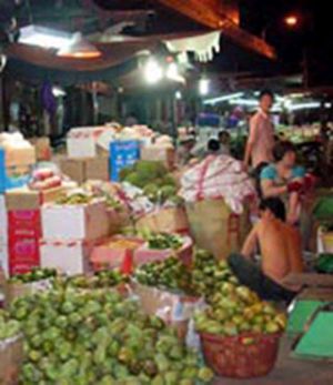 枢纽市场设在同奈省-是否幻想？