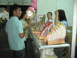 同奈-边和310年展览会将于12月20日开始