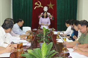 2017年Dinh Dau春のBien Hoa市での花の経路及び散歩街