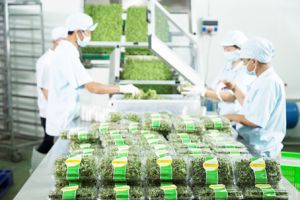 大きな生産投資の営業を公募する