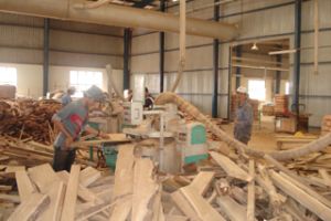 Dong Nai Attracts VND52 Trillion (US$2.66 billion) in Domestic Investment Capital