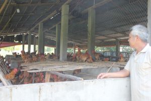 전염병 시잔에 농산물 소비 계획을 구축한다