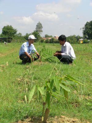 隆庆镇动员少数民族同胞参与发展生产竞赛