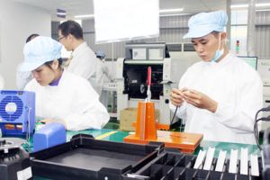FDI は優勢を持っている