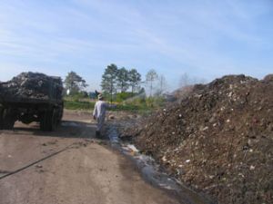 严格处理造成环境污染的企业