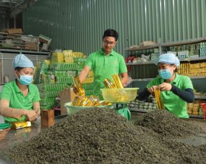 전염병으로 인한 어려움을 해결할 수 있도록 기업에 도와준다