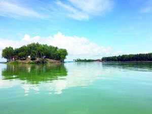 ドンナイ旅行:ヴィンクウへ池、森を洗い立てに帰り