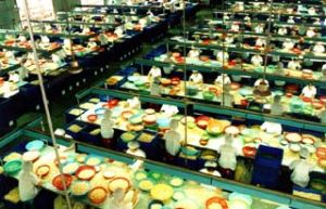 Dong Nai with a strong growth in industrial parks and clusters