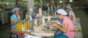 Industrial production value increases by 6.6% in the first quarter of 2009