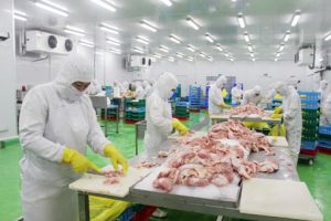 鶏肉、豚肉の輸出を促進する