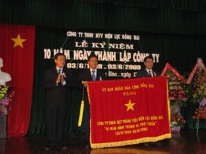 Dong Nai Power One-member Limited Company celebrates the 10th anniversary of its founding