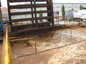 Dong Nai plans to relocate pollution-prone manufacturers inside urban residential areas