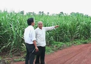 统一县：人民献地千万平方米建设交通道路