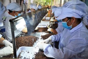 農産物輸出は米ドル価格が上昇すると利益をもたらす