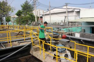 10종 프로젝트들이 환경 보호 기금에서 대출되는 것을 일치한다