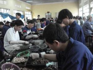 Many businesses have got an access to the government’s interest-funded loan packages