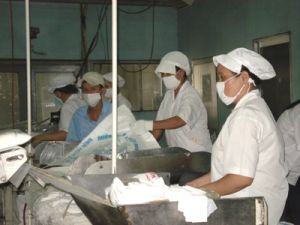 Halla Vietnam Co. Ltd (in Nhon Trach 2 Industrial Park) has committed many violations of the employment law