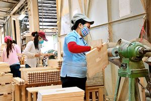 ドンナイの木材産業は、原材料と関連する材料の積極的に開発する