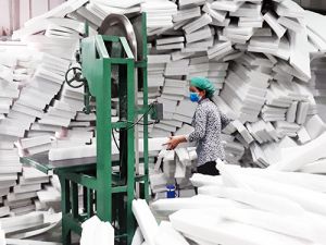 最初の6ヶ月間のドンナイ経済：多くの鮮やかな色