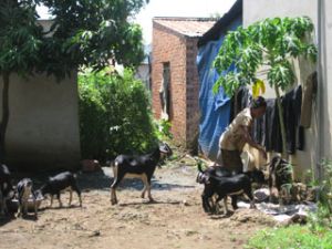 逾7000次贫困户获得贷款