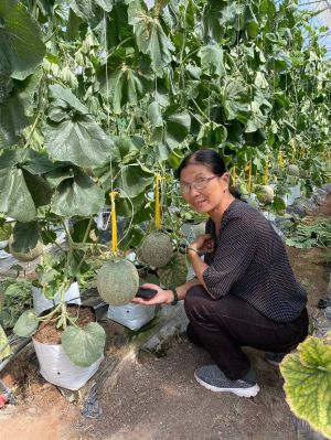 Bien Hoa市: 都市農業開発