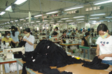 The province’s industrial output value in January 2008 reaches over VND6,000 billion.