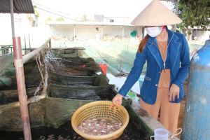 Dong Naiは南東部で最大の幼魚場がある