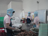 Industrial Output Value of the First Eight Months of This Year Reaches About $3.03 Billion.