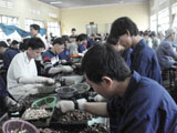 Import- Export Turnover hits US$9,702.5 million in 8 months of 2008
