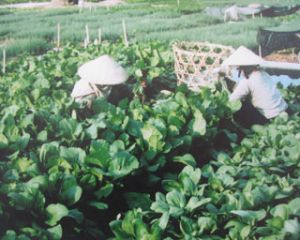 第二届展泵县党部代表大会：力争建设展泵县成为日渐现代化、工业化的一县