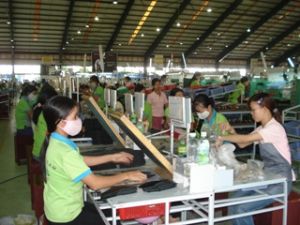 There have been more 41 new investment projects over the first six months of 2009