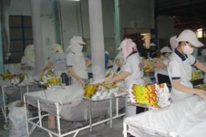 There have been 191 new privately-owned company start-ups