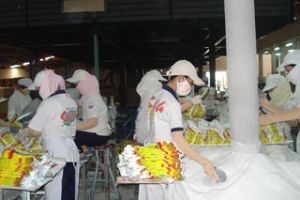 Key Industries Continue Relatively High and Stable Development in January